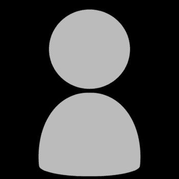 Blank PFP Transparent Blank PFP Transparent