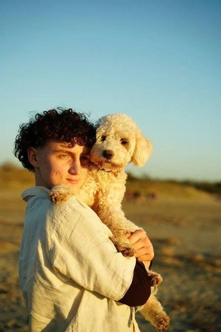 Dog PFP Boy Dog PFP Boy