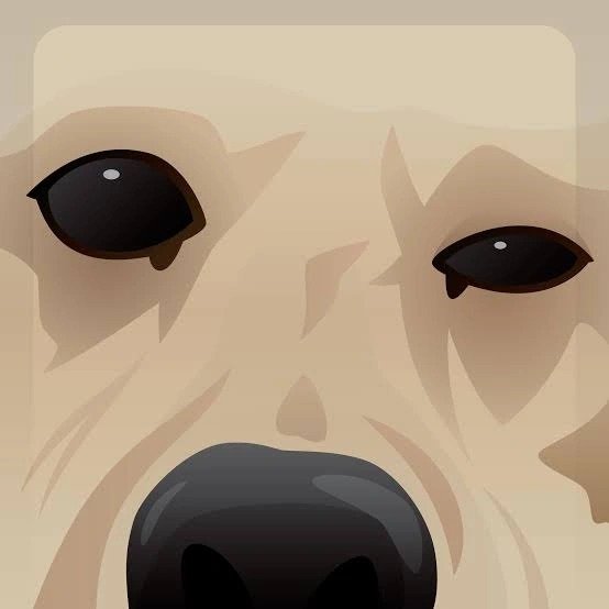 Funny Dog DP Funny Dog DP