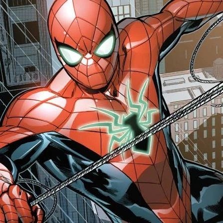 Funny Spider Man Pic