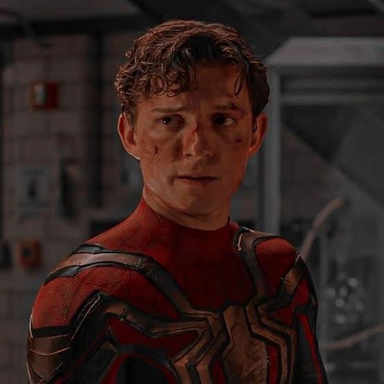 Spider Man PFP Tom Holland