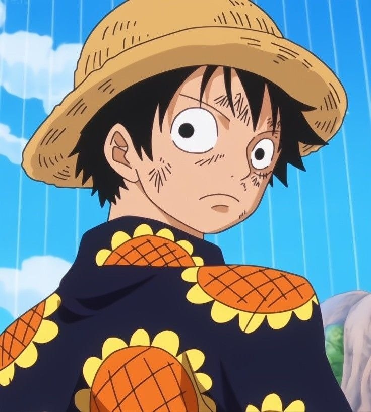 Cool Anime Luffy Pfp Cool Anime Luffy Pfp