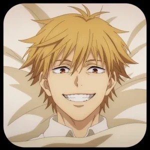 Denji Csm